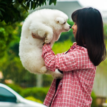 doggy-dance