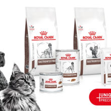 Royal Canin Gastrointestinal; voeding voor honden en katten met een gevoelige spijsvertering